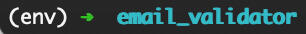 (env) indicating virtual environment